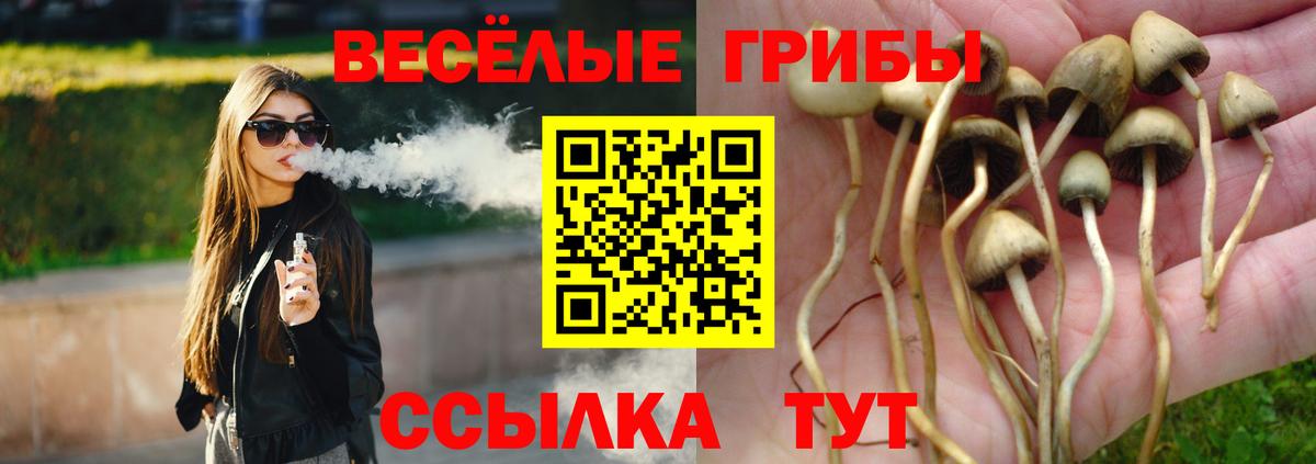 Галлюциногенные грибы ЛСД  закладка  Шахты  Вход с VPN 