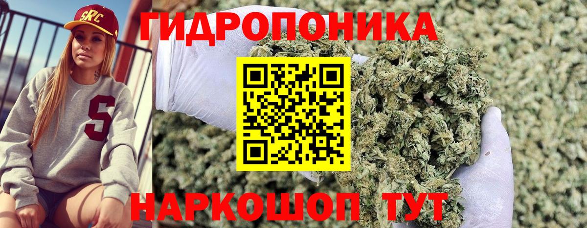 МАРИХУАНА сатива Шахты